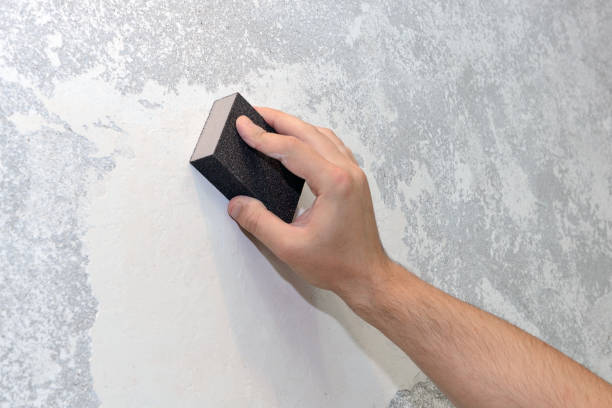 Best Mold Remediation for Healthcare Facilities  in Boerne, TX