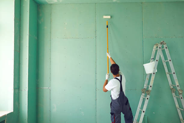 Best Residential Mold Inspection & Testing  in Boerne, TX