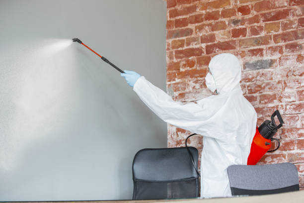 Best Post-Construction Mold Inspection  in Boerne, TX