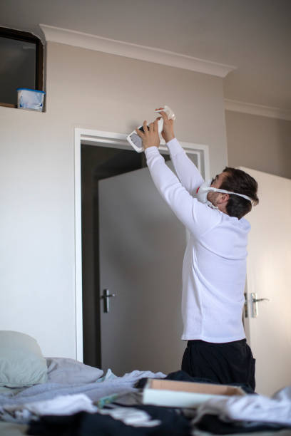Best Air Quality Testing for Mold Spores  in Boerne, TX