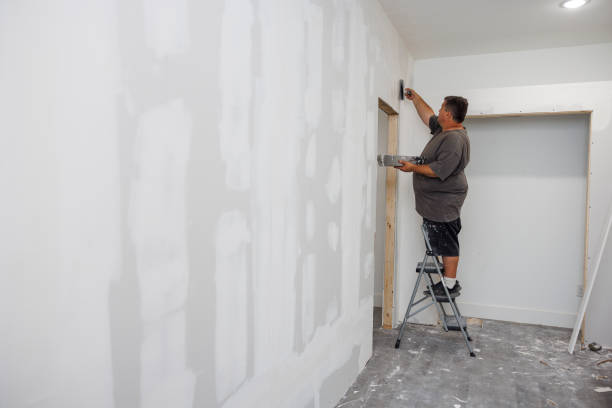 Best Forensic Mold Investigation  in Boerne, TX