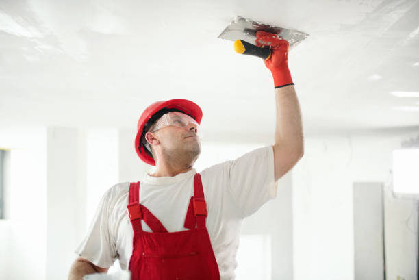Best Industrial Mold Remediation  in Boerne, TX